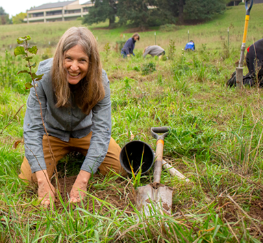 pcc miriam latzer planting