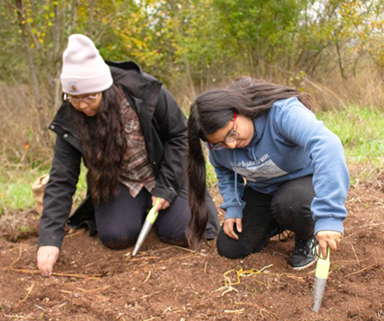 serina fast horse and her sister planting
