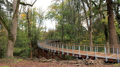 tree walk