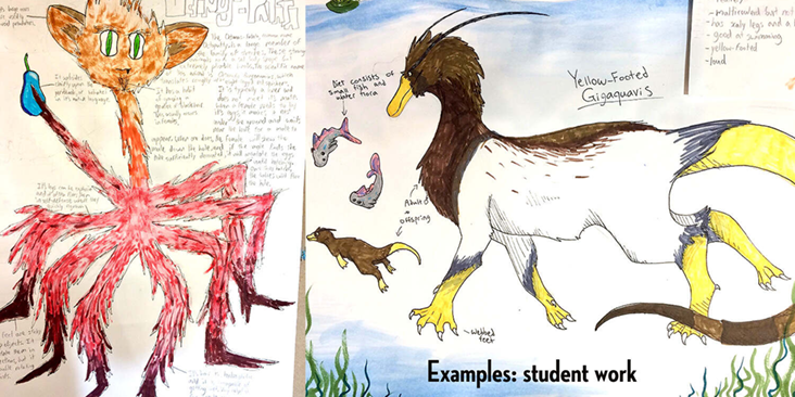 critter designs (student examples)
