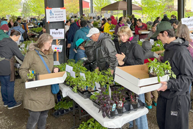 gardenfest