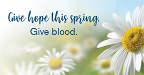 give hope this spring. give blood. text in front of daisies.