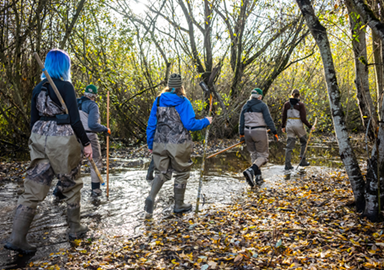 people walking through wetland
