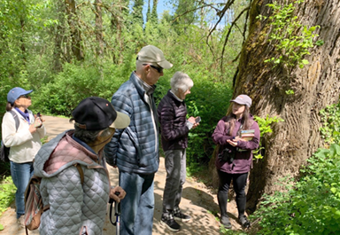 treekeepers