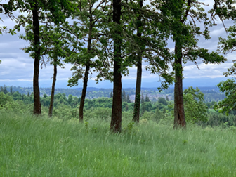 cooper mountain