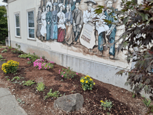 new pollinator garden