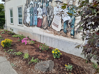 new pollinator garden