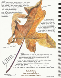 nature journal