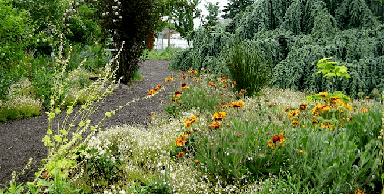 naturescaping