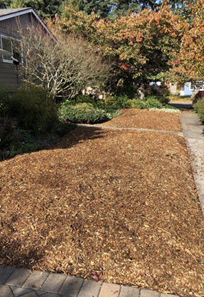 lawn removal