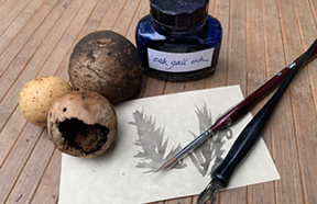 oak gall ink