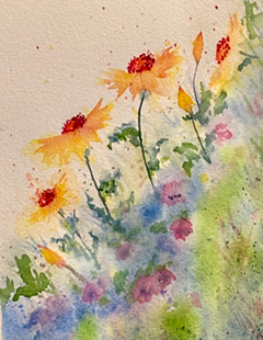 anderson watercolor