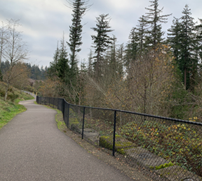merritt woods