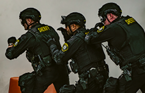 wcso training