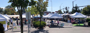 farmers market