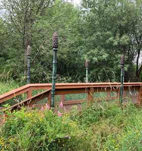 dirksen treewalk
