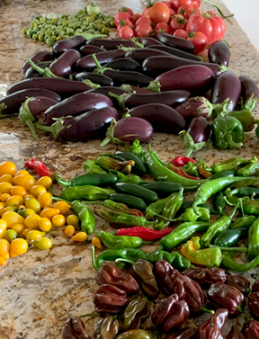 tropical delight veggies