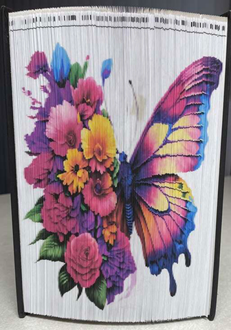 by jeanine bamberg