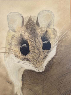 Featured Big and Bold: Miss Mouse, pastel, 16”x20” by Sherry Hanson