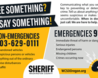 wcso see something say something