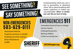 wcso see something say something