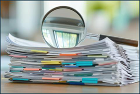 auditor