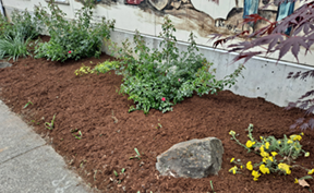 garden club leedy grange