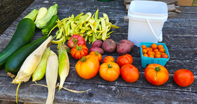 vegetables