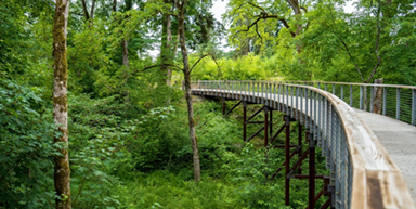 orenco woods walkway