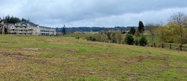 saqsaqa site