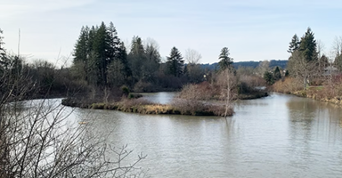 summerlake park
