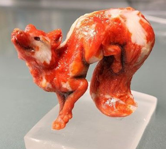 Featured 3D: Hannah Gulick