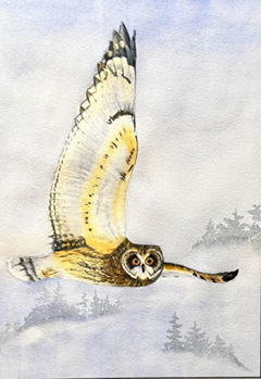 Big and Bold: Jean Anderson presents her work on owls, using a restrained palette and foggy background to give the viewers a sense of what she felt watching these beautiful, predatory birds.