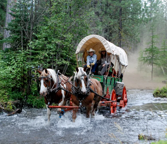 4h wagon