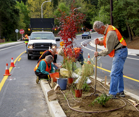 adopt a landscape crew working on median