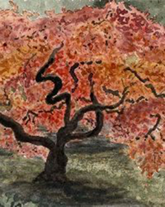 Japanese Maple in Autumn by Beth Pansino